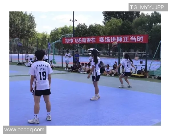 南京排球队的节奏与魅力探秘:一场关于青春与拼搏的排球盛宴